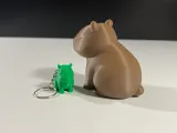 Cute Capybara-3
