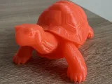 Turtle-1