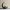 Crescent Moon Decoration With Elliptical Plant Pot