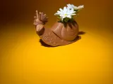 Snail decorative pattern-5