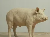 Pig - simple and easy to print-2