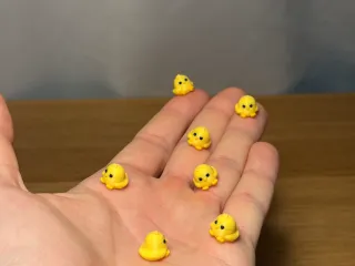 Mini Chicken