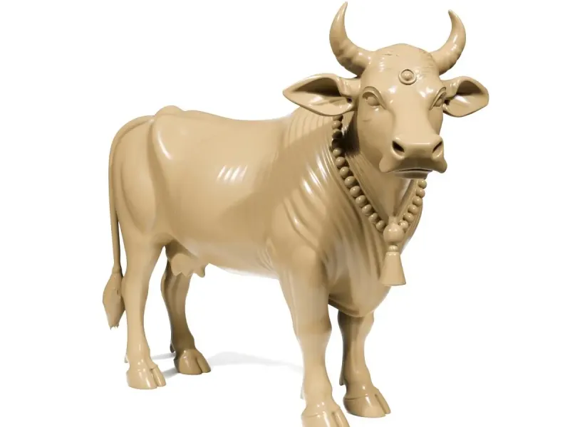 Sacred cow