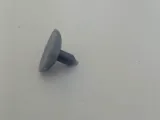 plug-0
