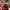 Scarlet Witch Articolata Stampabile in 3D