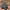 BATMAN FIDGETSPEELGOED / SPINNER / PRINT IN PLACE