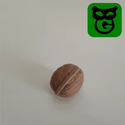 Walnut (with Hinge and Seed)-0