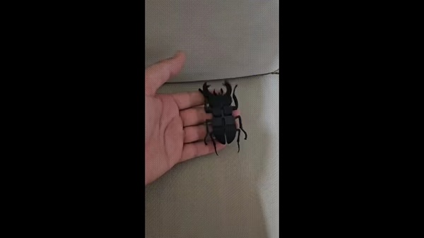 フレキシブル昆虫 - 関節可動式-0