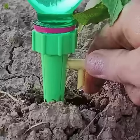 PLANT SELF WATERING SPIKES-0