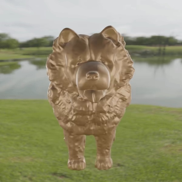 Chow Chow hond