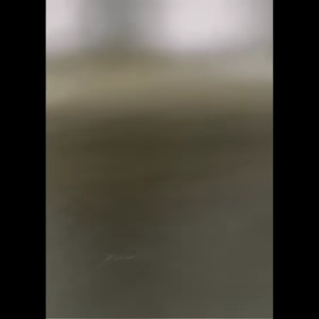 MEME BAILARÍN DESDENTADO FLEXI - SIN SOPORTE - MULTICOLOR-1