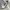 Shoe Laces