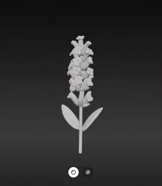 Lavender Flower-1