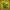 BULBASAUR HELLDIVERS