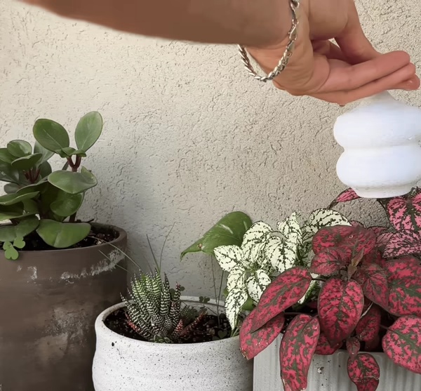 Thumb Control Watering Can – Elegant & Precise Plant Water