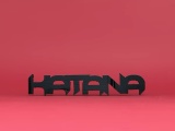 Text Flip - Katana ▬▬Ι═══════ﺤ-0
