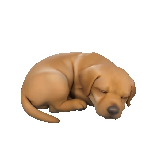 Labrador
