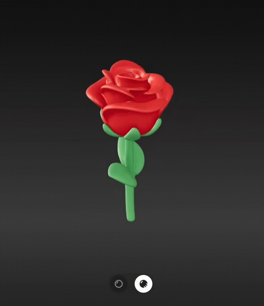 Rose flower-0