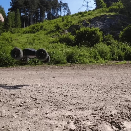 NOMAD RC AUTO/TRUGGY