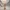 3D Utility Windmill Realistic Movement for Models