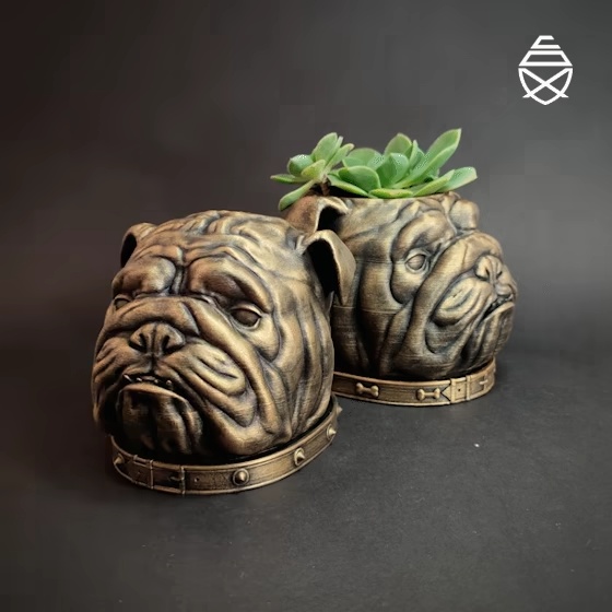 BULDOG ENGLEZ