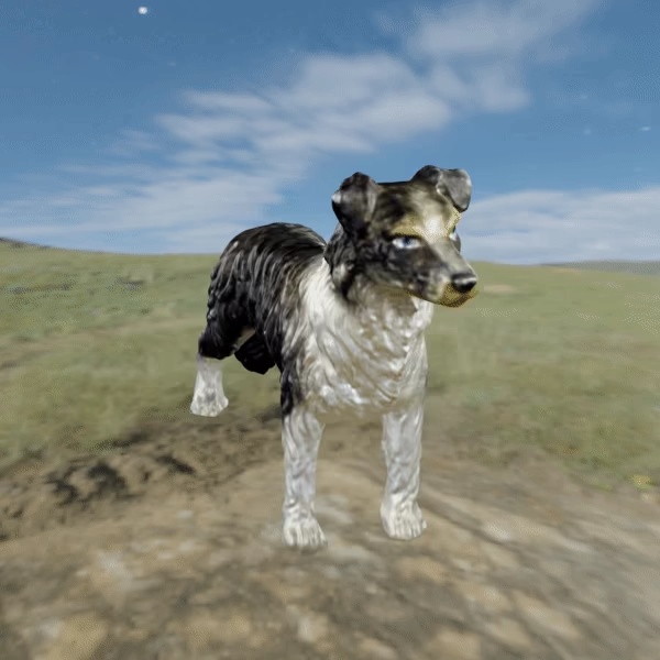 Dog Border Collie