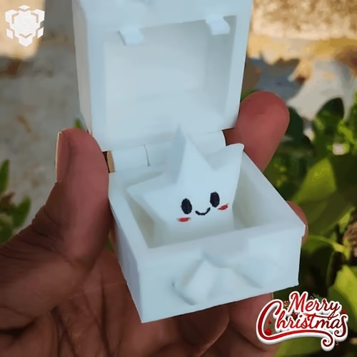 Weihnachts-Special - Stern-Geschenkbox