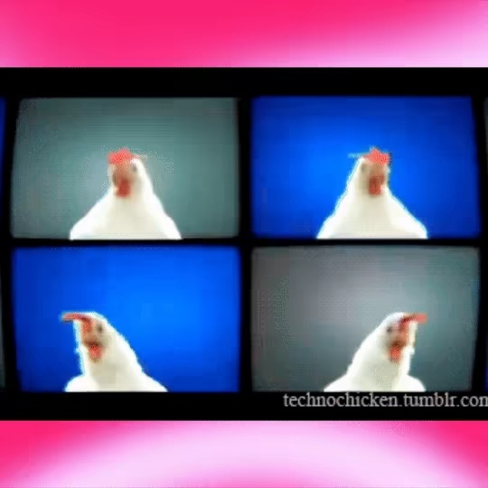 Clucky The Easter Chicken-0