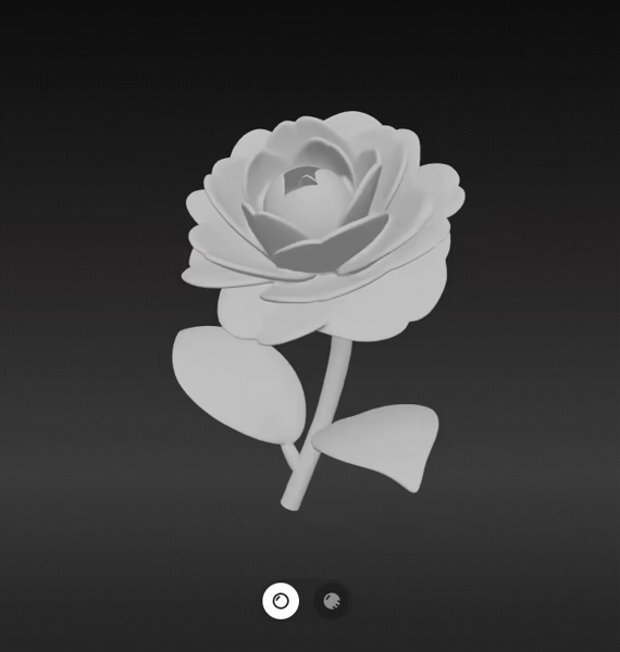 Camelia flower-1