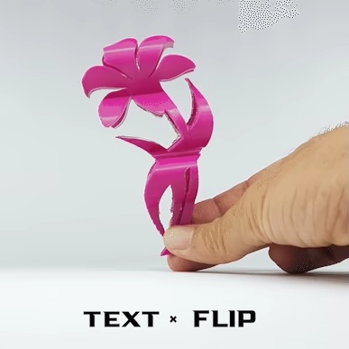 Text Flip - Lily-0