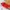 [Exklusiv] Aries Dragon - Niedlicher Flexi-Baby-Drache