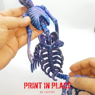 sirena skeleton-8