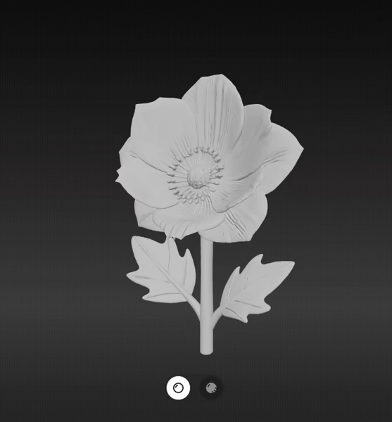 Anemon flower-1