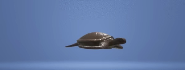 Sea turtle-3