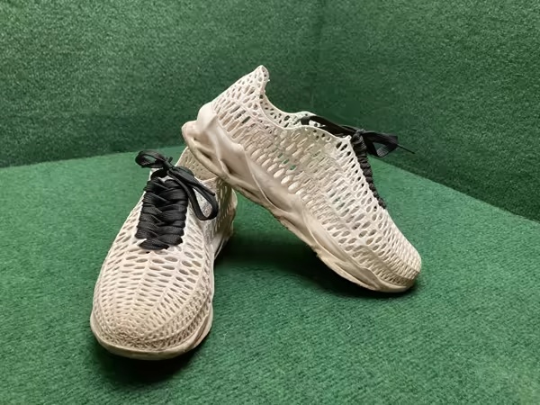 ION Shoes Fire Voronoi