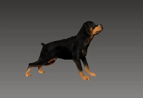 ROTTWEILER ALERT STATUS