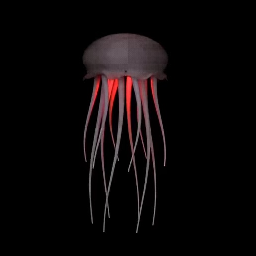 Jellyfish Kinetic Lamp-3