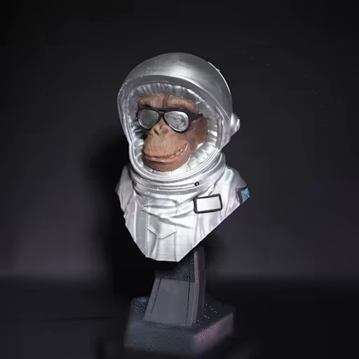 Intergalactic Monkey Crew-5