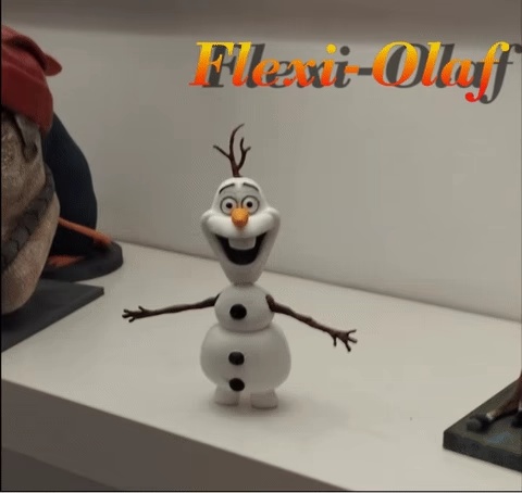 FLEXI - OLAF-1