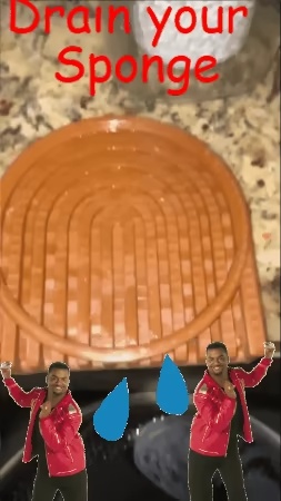 Drain Your Sponge