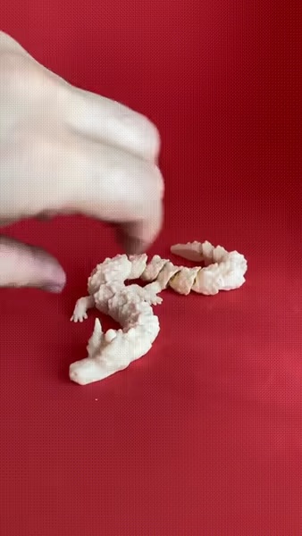 Articulated Dragon