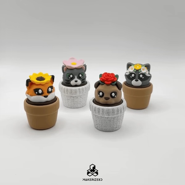 Cliquet de chaton en pot-4
