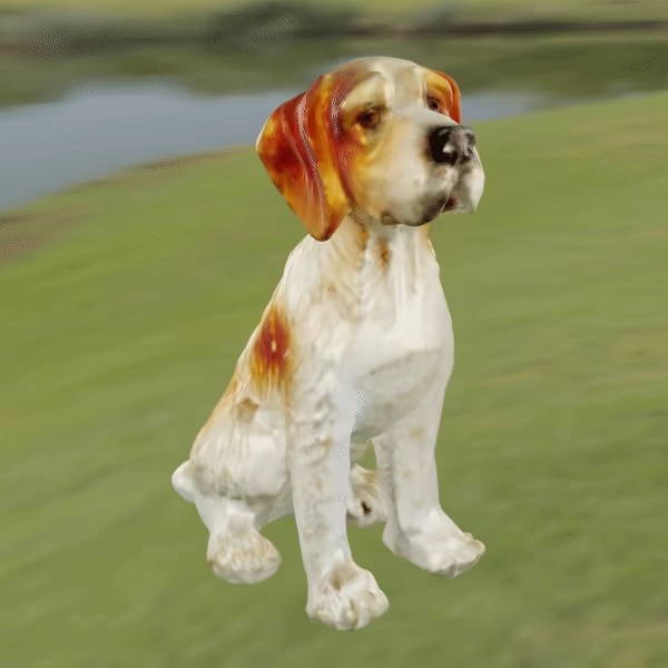 Dog Epagneul Breton-0