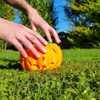Dual Face Pumpkin