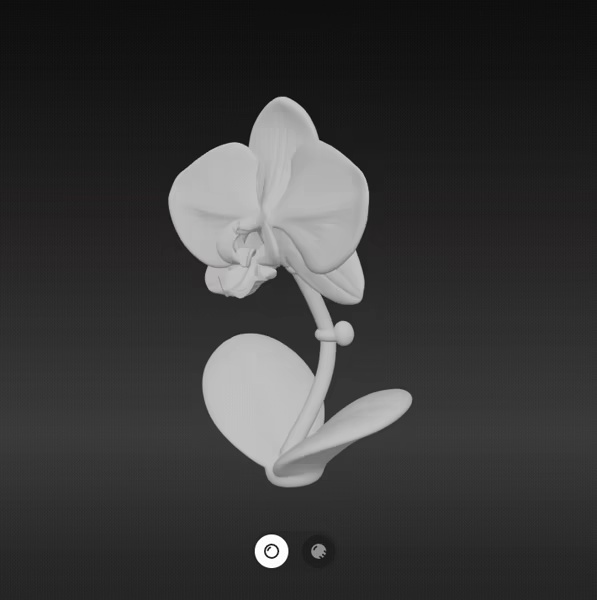 Orchids flower-1