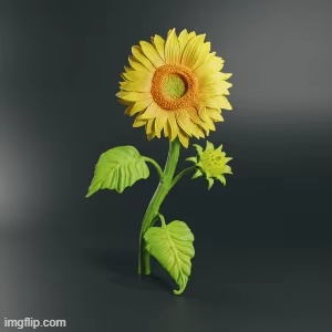 FLOR DO SOL-6