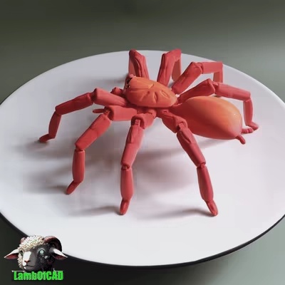 Bird Eater Spider-4