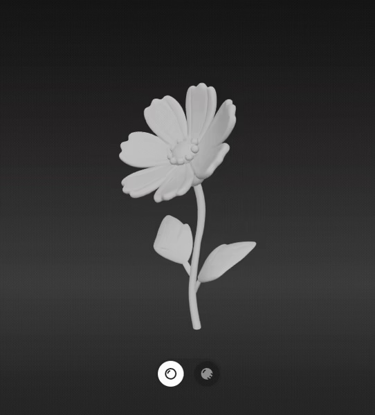 Fleur de Cosmos-1