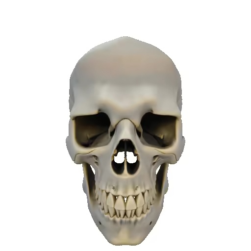 Scull-0
