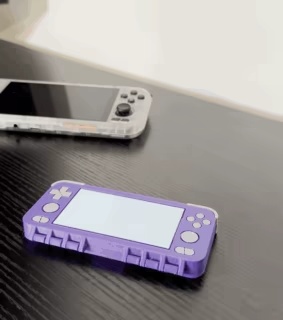 Gaming Micro SD Hülle